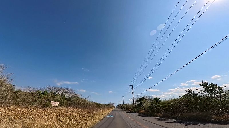 シーサイド道路